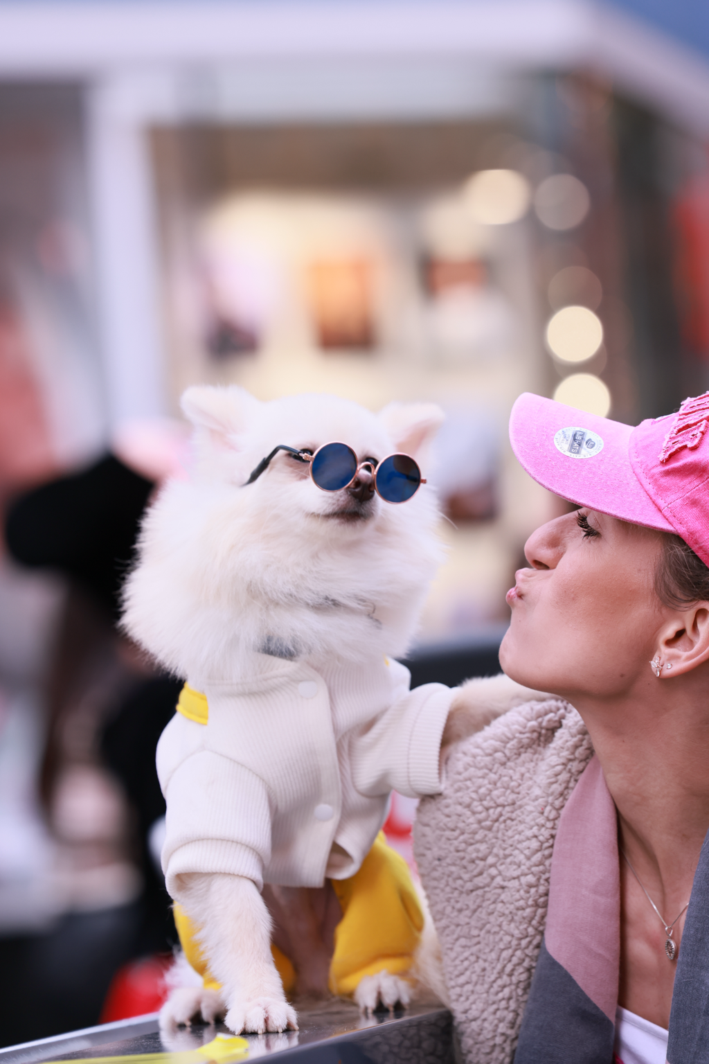 A stylish groomed dog in sunglasses being kissed by Marina